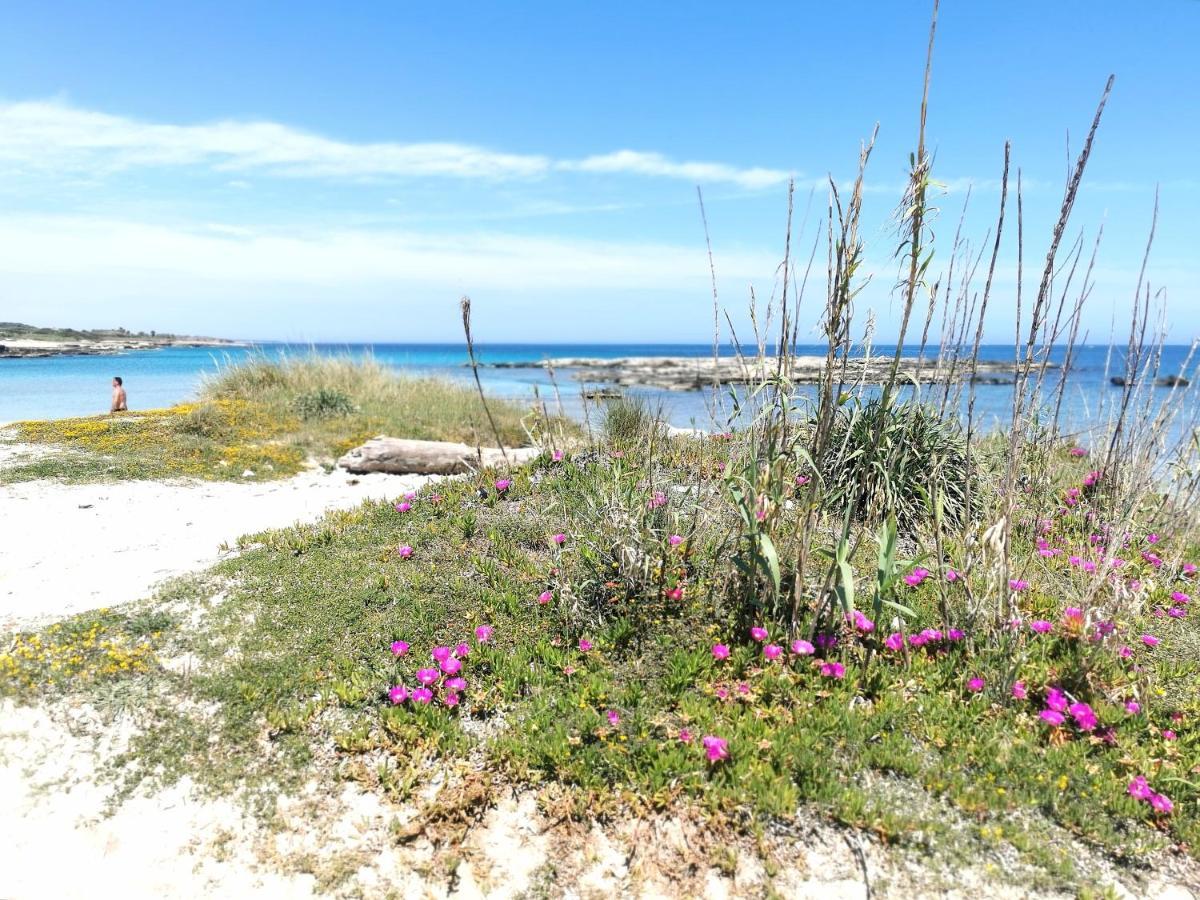 Otranto Perla D'Oriente Villa Ngoại thất bức ảnh